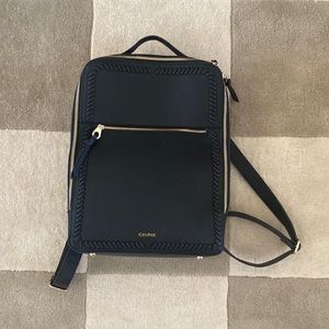 Calpak Travel Backpack